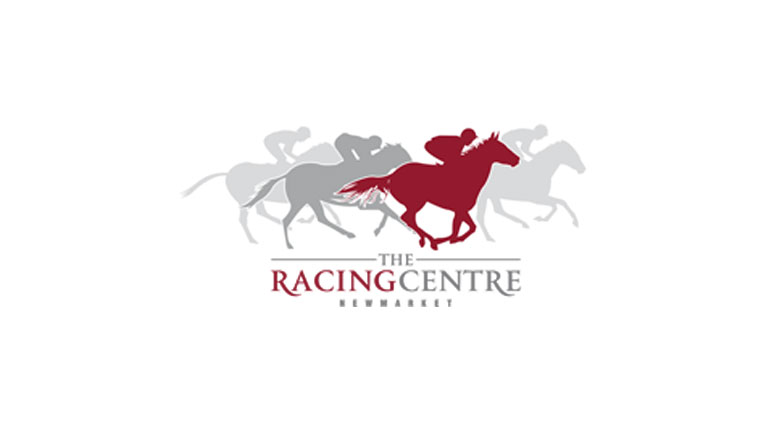 Survey – The future of Newmarket’s Racing Centre