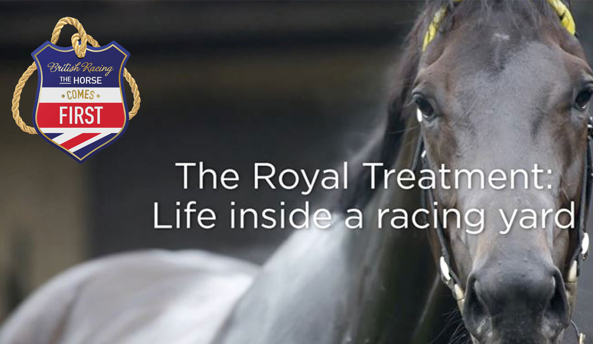 The Horse Comes First: Behind the scenes of a top yard