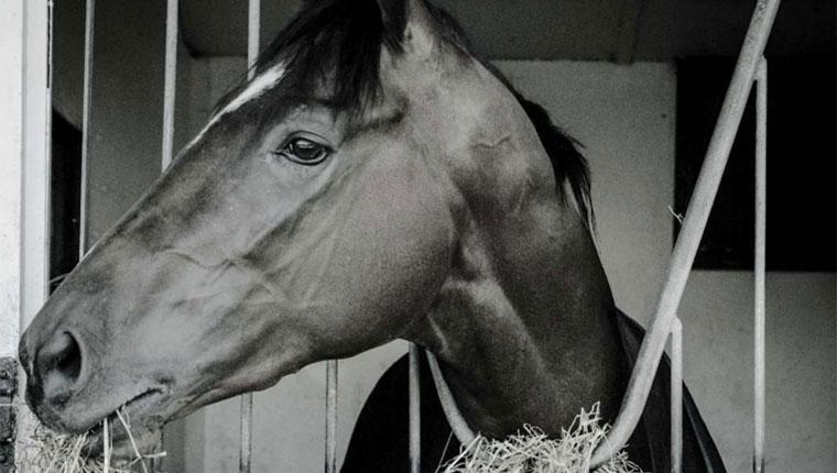 STABLE talk — February 2022